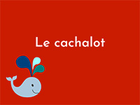 Le cachalot